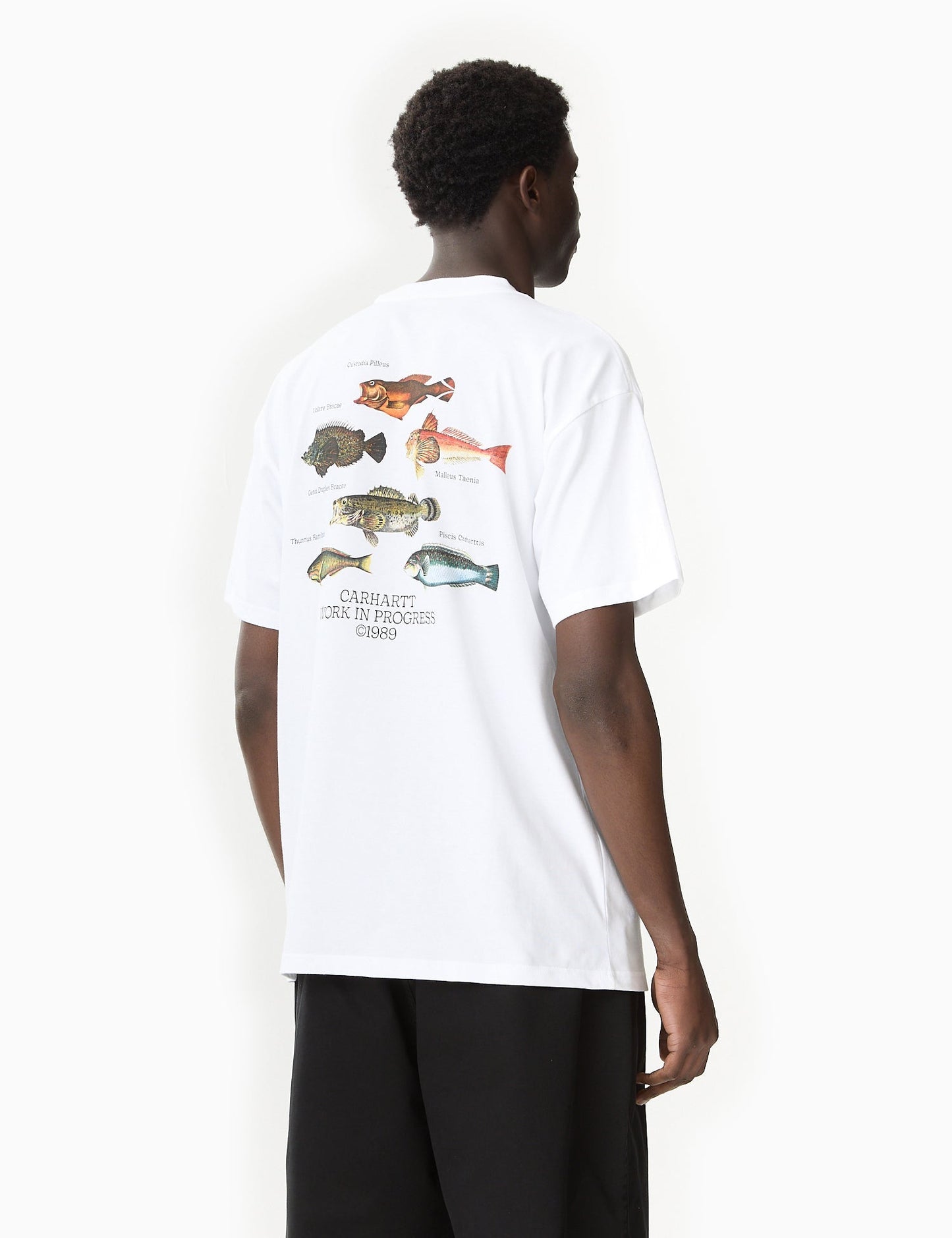 Fish T-Shirt (Loose) - Dollar Green